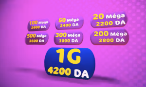 Algérie Telecom lance les abonnements fibre optique à 500 Mbs et 1 Gbs